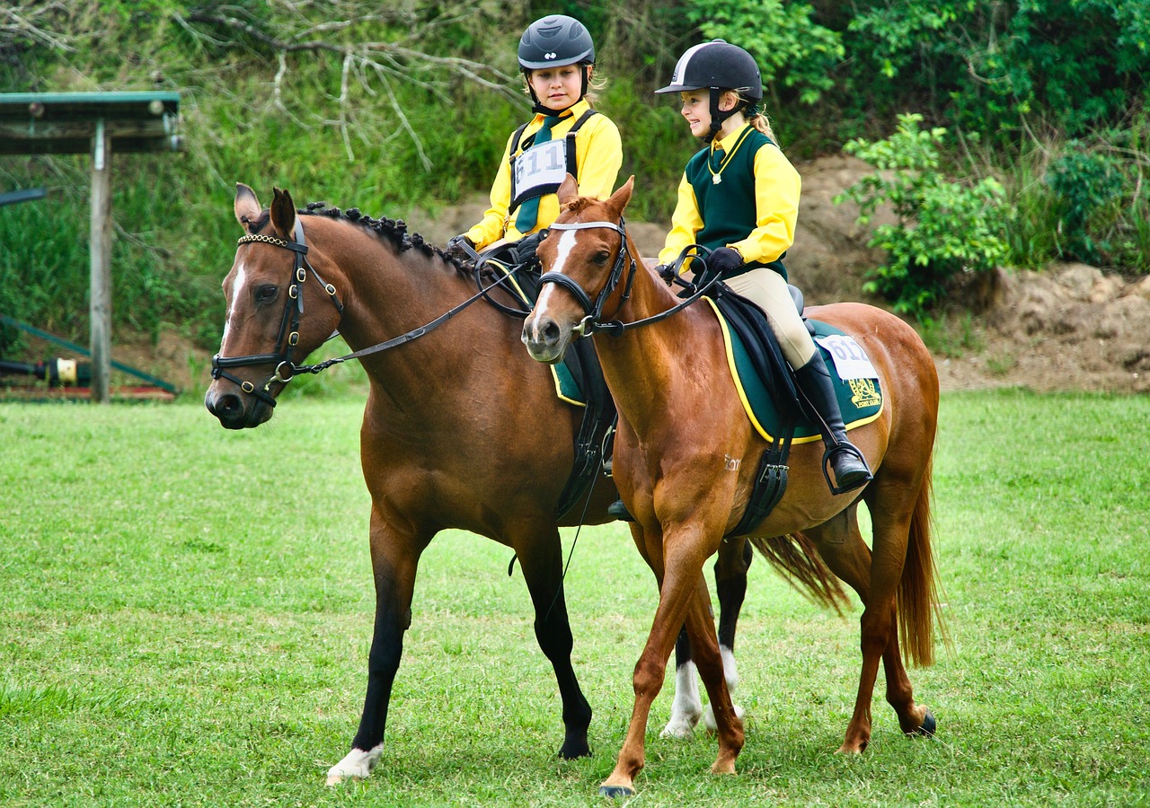 Améliorer la sécurité avec des casques d'équitation certifiés