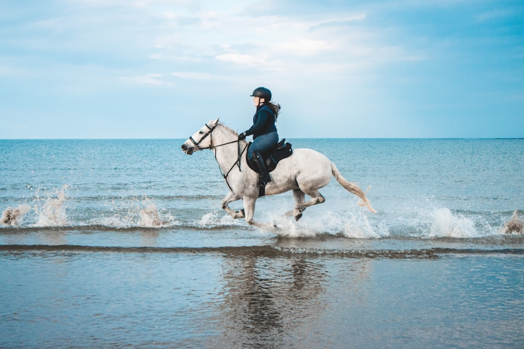 casques d'équitation