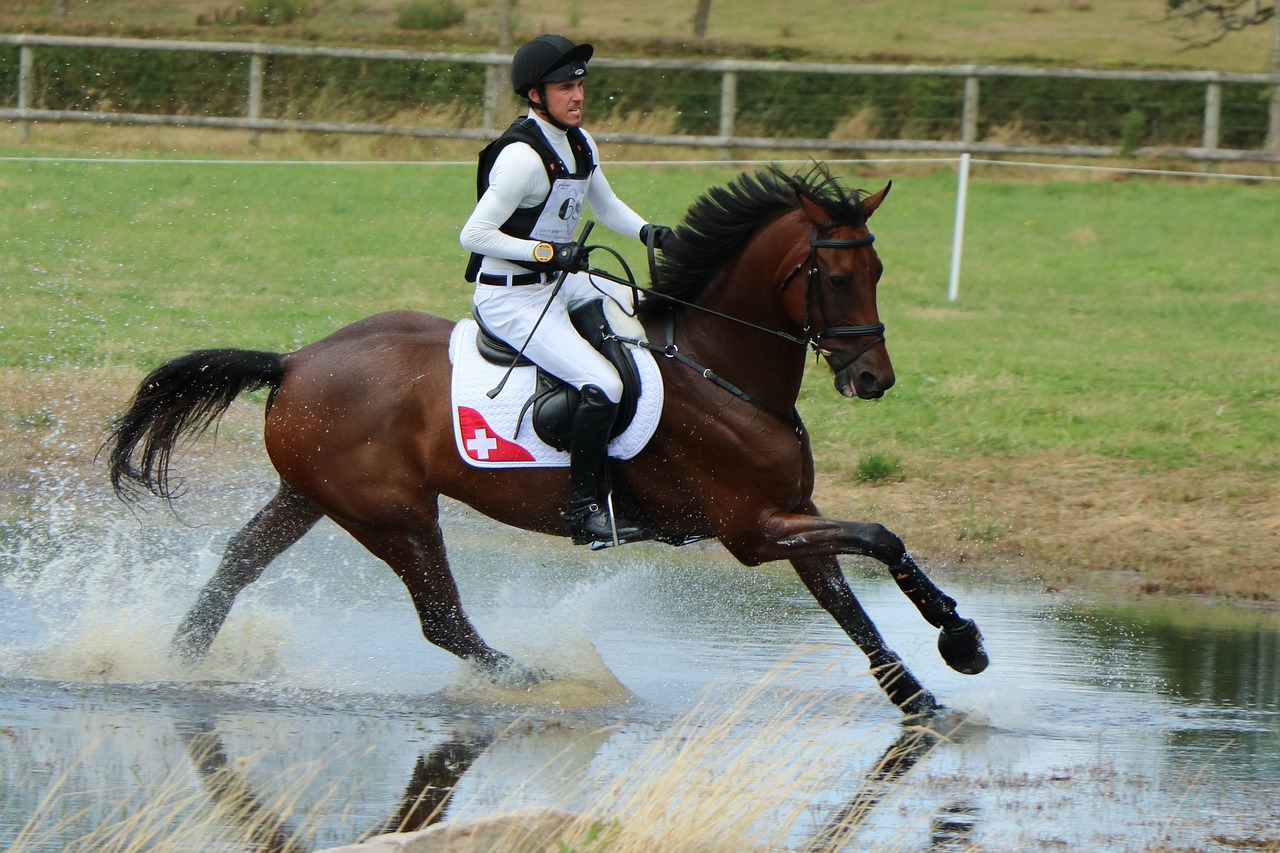 casque d'équitation