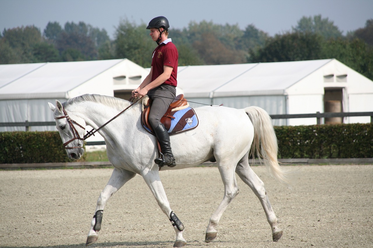 casque équestre
