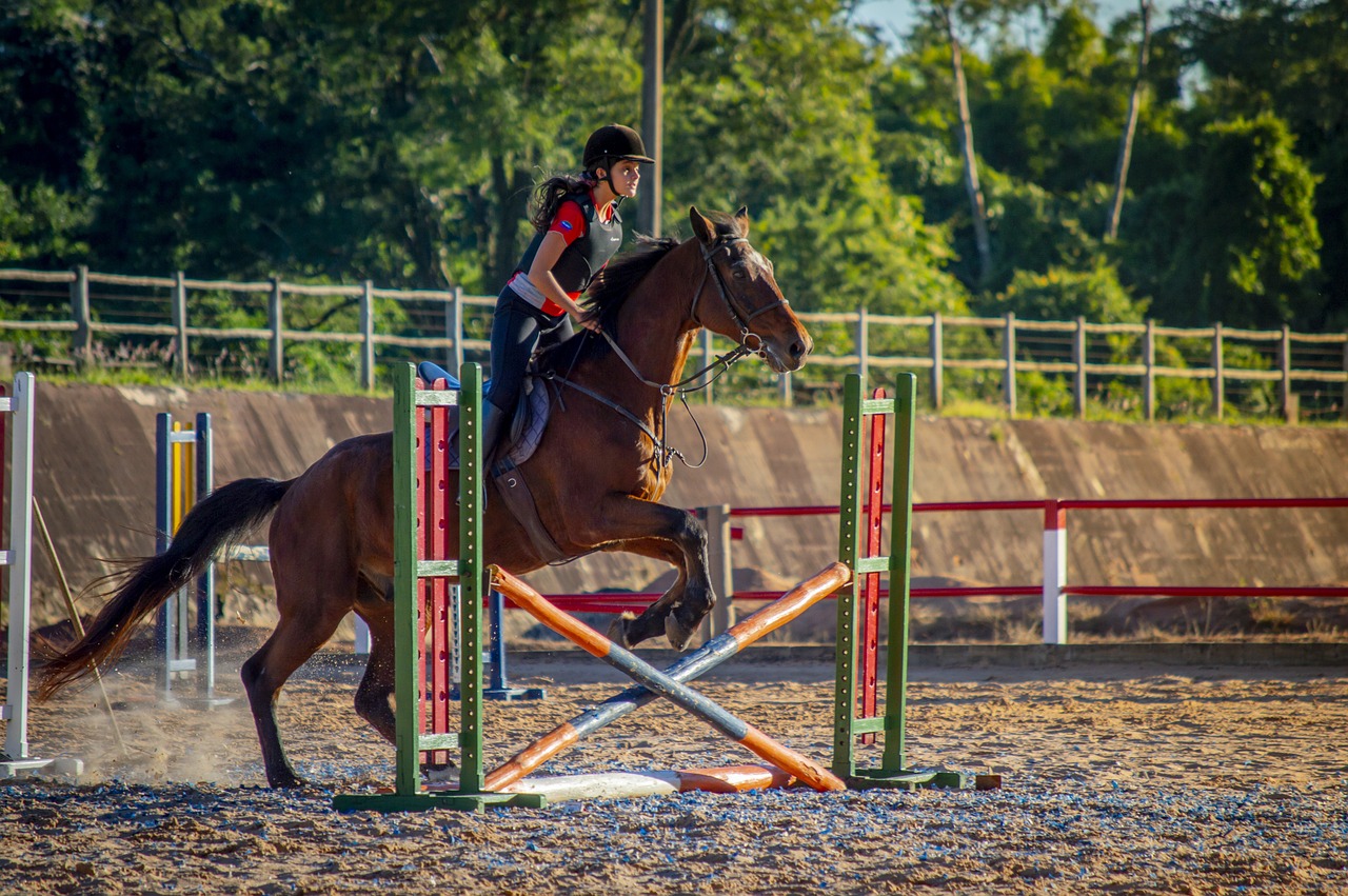 Protection fiable pour chaque cavalier