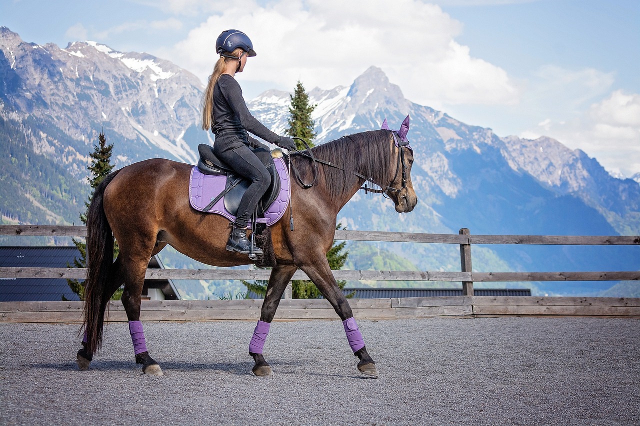 casques d'équitation pour femmes
