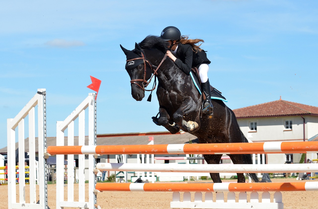 casques d'équitation pour femmes