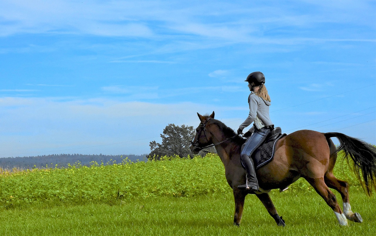 Casque d'équitation