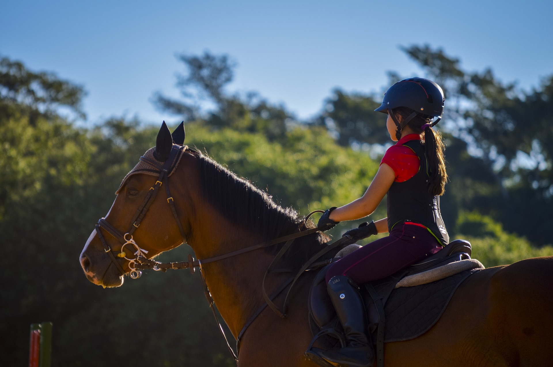 Normes de sécurité des casques d’équitation : ce que tout cavalier devrait savoir